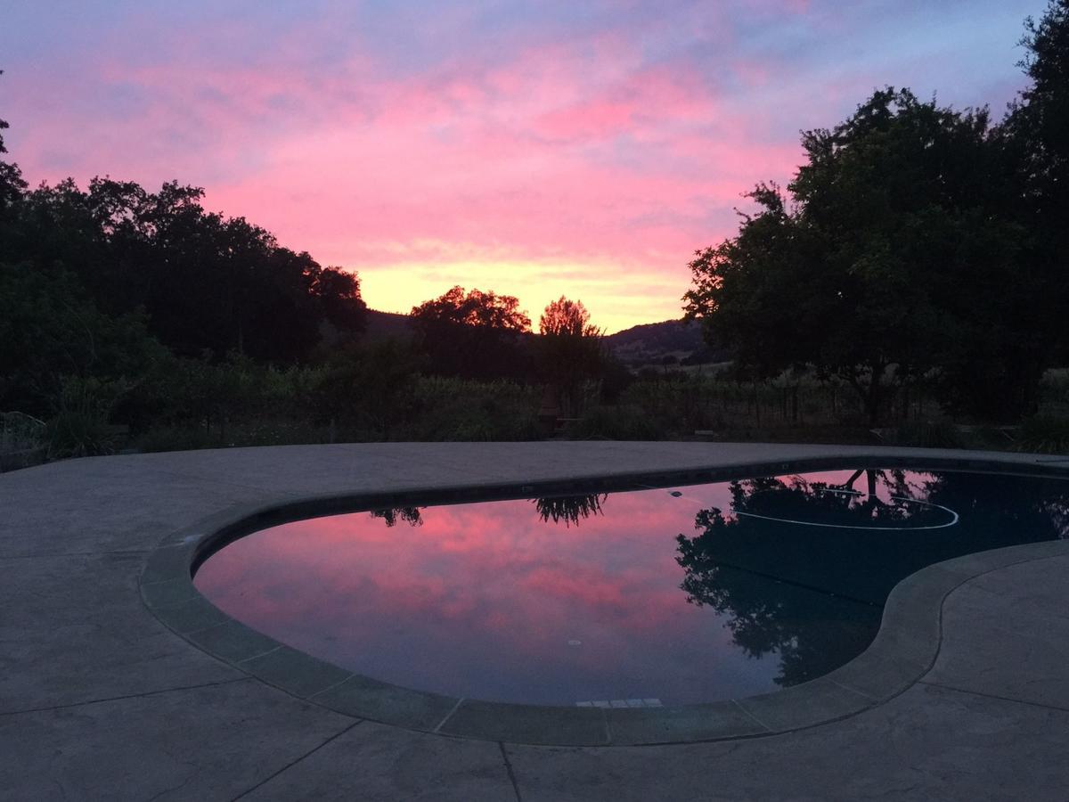 Bed and Breakfast Rustridge Ranch & Winery St. Helena Exterior foto