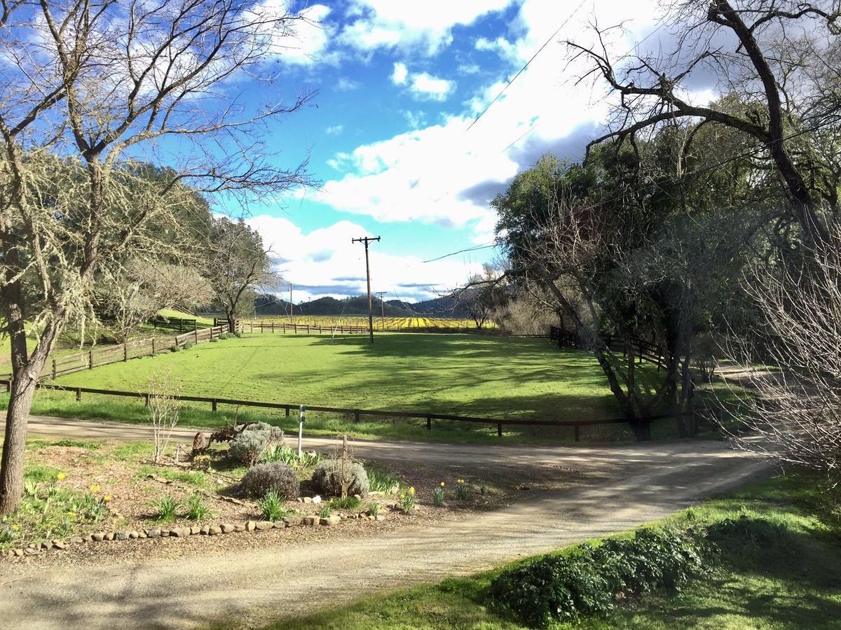 Bed and Breakfast Rustridge Ranch & Winery St. Helena Exterior foto