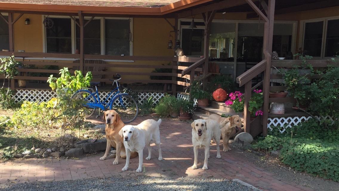 Bed and Breakfast Rustridge Ranch & Winery St. Helena Exterior foto