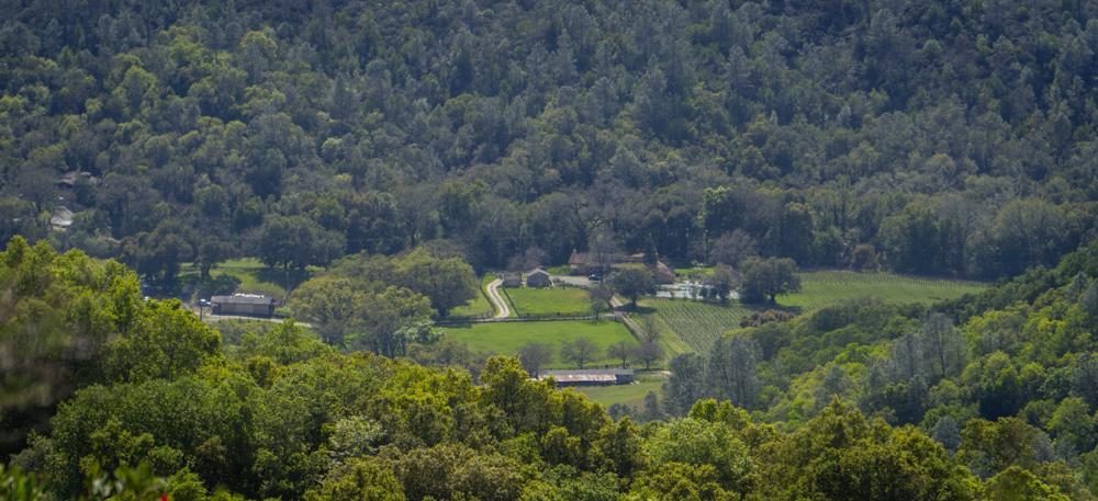 Bed and Breakfast Rustridge Ranch & Winery St. Helena Exterior foto