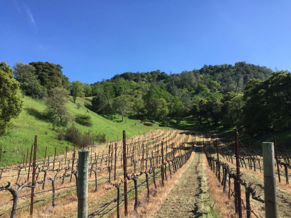 Bed and Breakfast Rustridge Ranch & Winery St. Helena Exterior foto