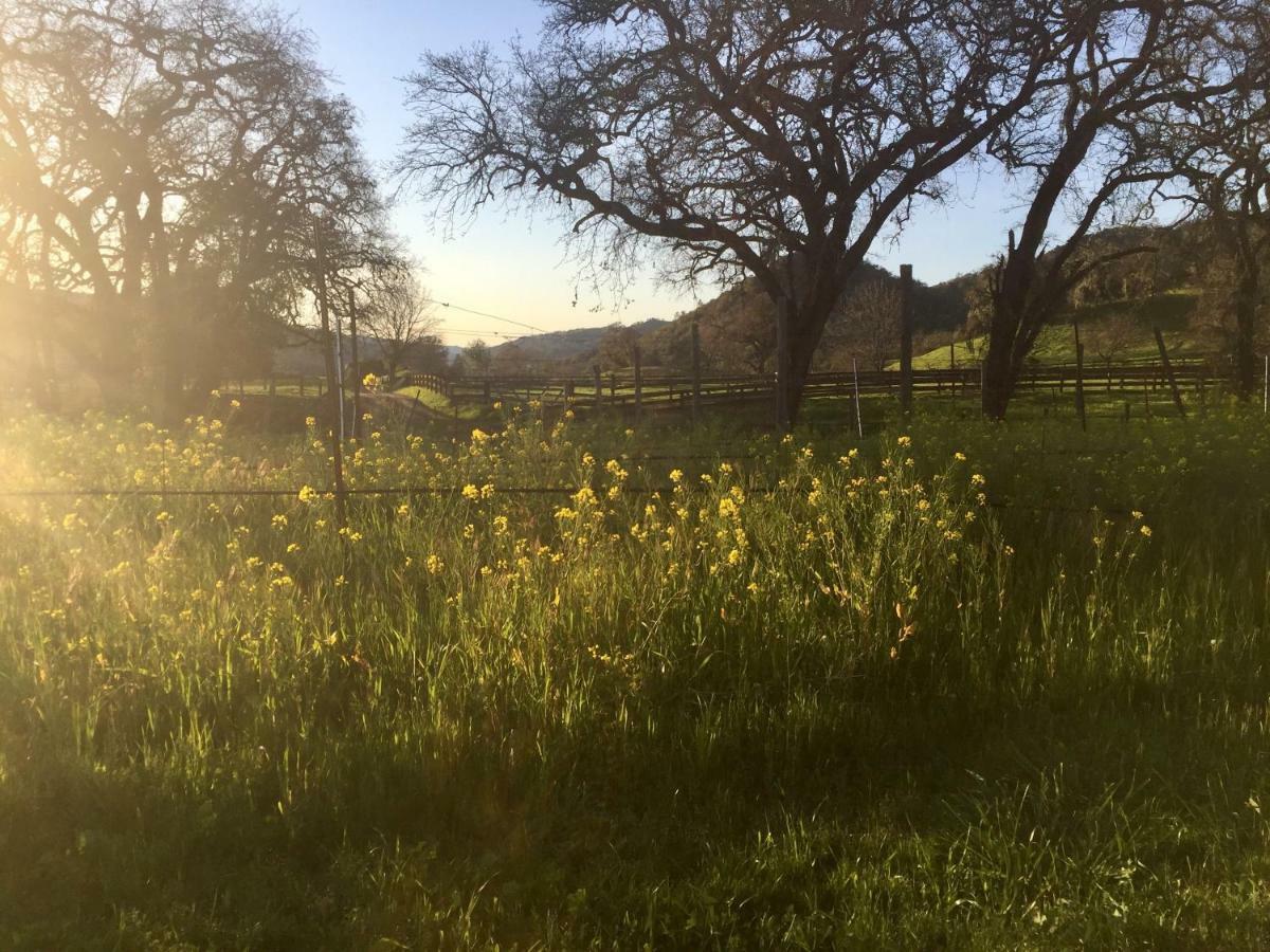 Bed and Breakfast Rustridge Ranch & Winery St. Helena Exterior foto